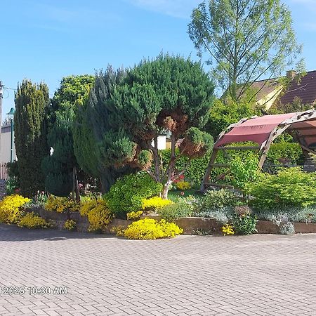 Ferienwohnung Bienwald Mit Pool Fuer 4 - 6 Personen Mit 3 Schlafzimmern Grobitz Exterior photo